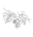 О природе — фото, картинка — 6