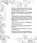 О природе — фото, картинка — 8