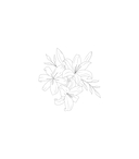 Феи и эльфы. Чарующие и загадочные. Раскраска-фэнтези — фото, картинка — 3