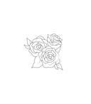 Феи и эльфы. Чарующие и загадочные. Раскраска-фэнтези — фото, картинка — 5