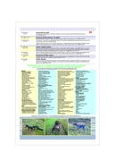 Атлас охотника и рыболова. Могилевская область — фото, картинка — 7