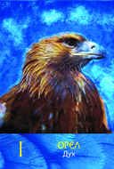 Сила шамана. Исцеляющие карты животных — фото, картинка — 13