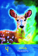 Сила шамана. Исцеляющие карты животных — фото, картинка — 14