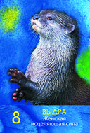 Сила шамана. Исцеляющие карты животных — фото, картинка — 15