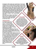 Большая энциклопедия о кошках и собаках — фото, картинка — 12