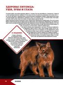 Большая энциклопедия о кошках и собаках — фото, картинка — 13