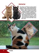 Большая энциклопедия о кошках и собаках — фото, картинка — 15