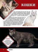 Большая энциклопедия о кошках и собаках — фото, картинка — 3