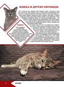 Большая энциклопедия о кошках и собаках — фото, картинка — 5