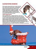 Большая энциклопедия о кошках и собаках — фото, картинка — 6