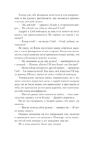 Украденный ключ — фото, картинка — 17