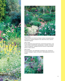 Библия садовых цветов. Однолетники, многолетники и луковичные. Советы по посадке, выращиванию и уходу — фото, картинка — 22