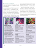 Библия садовых цветов. Однолетники, многолетники и луковичные. Советы по посадке, выращиванию и уходу — фото, картинка — 23