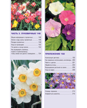 Библия садовых цветов. Однолетники, многолетники и луковичные. Советы по посадке, выращиванию и уходу — фото, картинка — 9