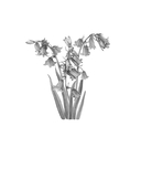 Селфи с судьбой — фото, картинка — 1