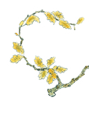 Весёлые зайцы — фото, картинка — 6