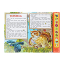 Лесные сказки — фото, картинка — 1