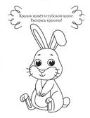 Кролик — фото, картинка — 1