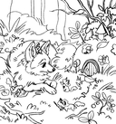 Лесные друзья. Самая пушистая раскраска от Магонии — фото, картинка — 2