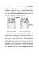 Практическая кинезиология: как перевоспитать мышцы-халтурщицы — фото, картинка — 10