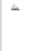 Волчья ягода — фото, картинка — 1