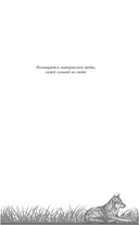 Волчья ягода — фото, картинка — 5