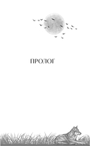 Волчья ягода — фото, картинка — 6