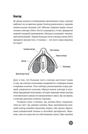 Ниже пояса. Открыто о прикрытом — фото, картинка — 17