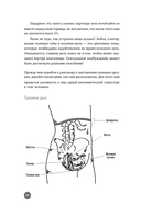 Ниже пояса. Открыто о прикрытом — фото, картинка — 20