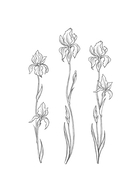 Принцесса на белом коне — фото, картинка — 2