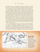 Загадочный Ван Гог — фото, картинка — 11