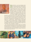 Загадочный Ван Гог — фото, картинка — 3