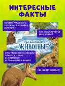 Где обитают животные? — фото, картинка — 4