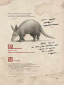 Бестиарий Ведьмака — фото, картинка — 9