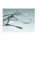 Влюбиться — фото, картинка — 13