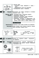 Биология — фото, картинка — 12