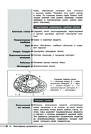 Биология — фото, картинка — 13