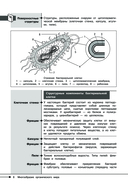 Биология — фото, картинка — 7