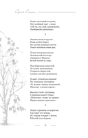 Поэзия. Все в одной книге — фото, картинка — 5