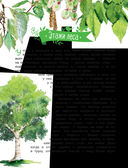 Рассказы о природе — фото, картинка — 2