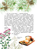 Рассказы о природе — фото, картинка — 12