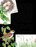 Рассказы о природе — фото, картинка — 4