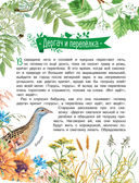 Рассказы о природе — фото, картинка — 6