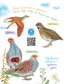 Рассказы о природе — фото, картинка — 8