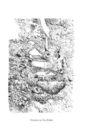 Ловцы времени. Археологические открытия от Трои до современности — фото, картинка — 7