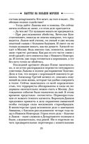 Выстрел на Большой Морской — фото, картинка — 23