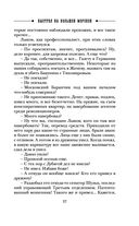 Выстрел на Большой Морской — фото, картинка — 37