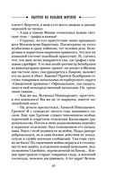 Выстрел на Большой Морской — фото, картинка — 45