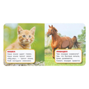 Любимые животные — фото, картинка — 1