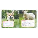 Любимые животные — фото, картинка — 2